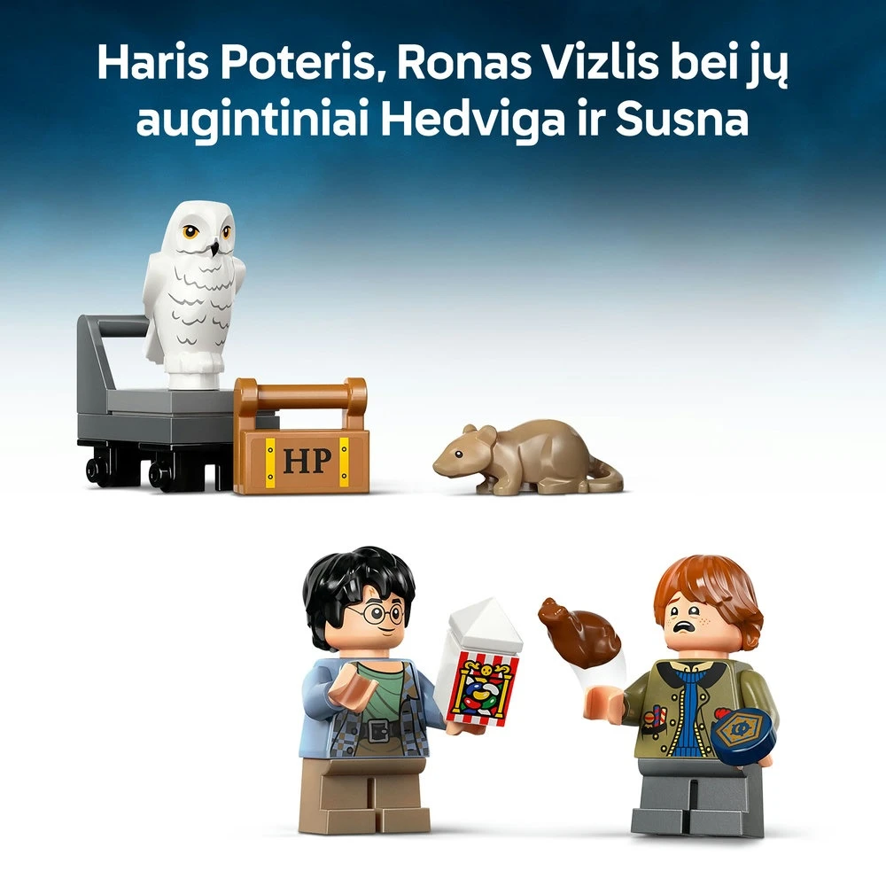 LEGO® Harry Potter™ Knygų lentynos dekoras: Hogvartso ekspresas 76450