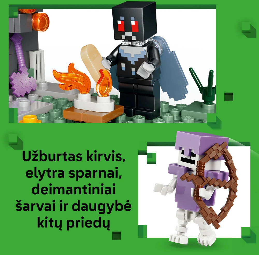 LEGO® Minecraft® Blankusis sodas Konstravimo rinkinys 21586