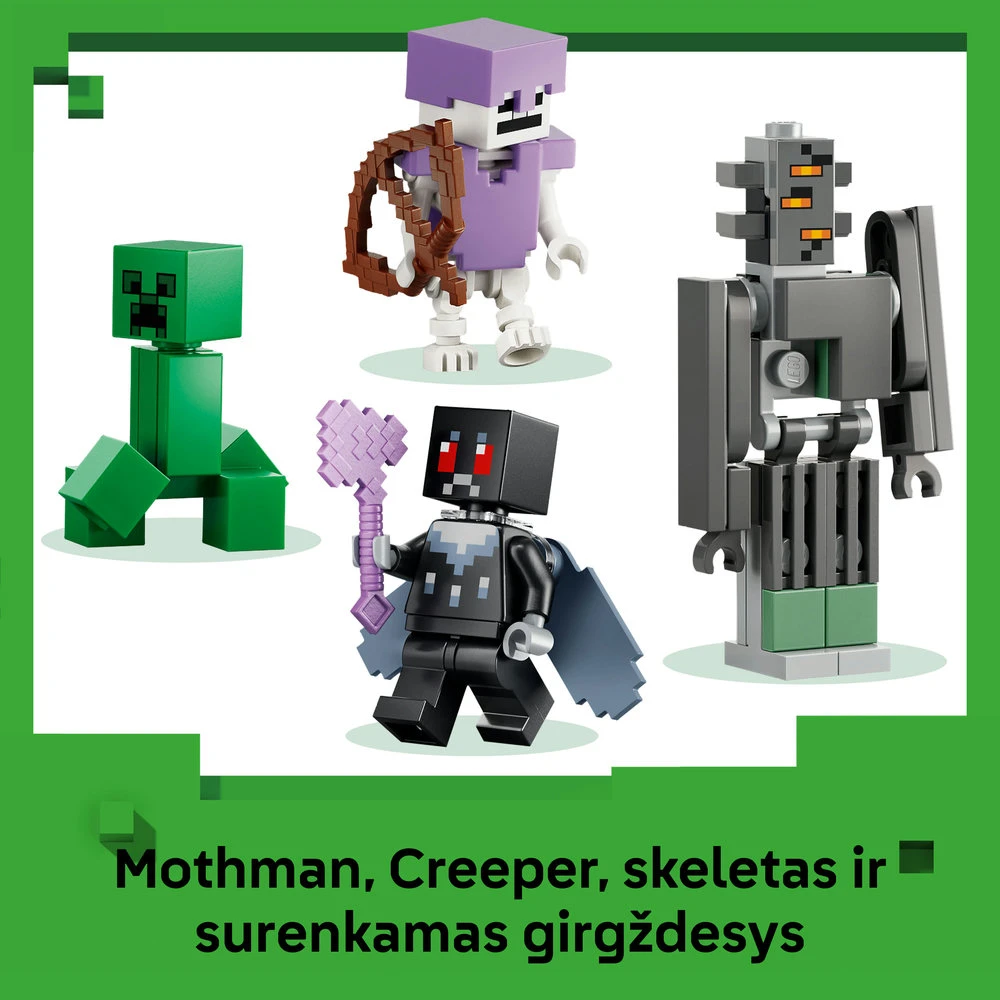 LEGO® Minecraft® Blankusis sodas Konstravimo rinkinys 21586