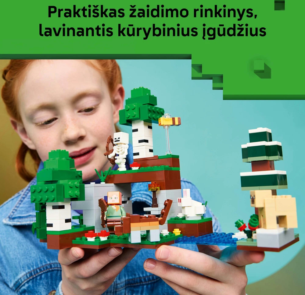 LEGO® Minecraft® Pirmosios nakties nuotykis, žaislas 21593