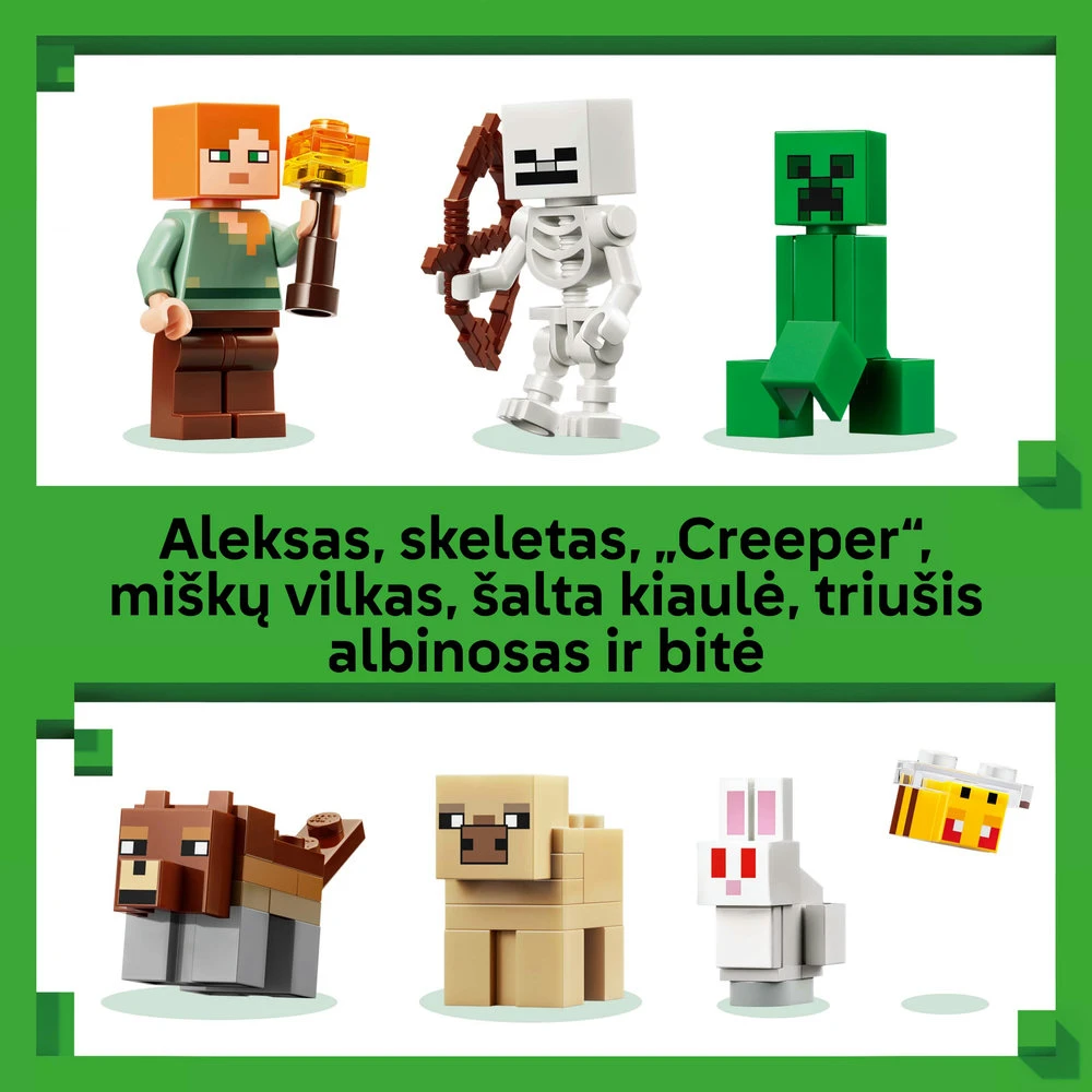 LEGO® Minecraft® Pirmosios nakties nuotykis, žaislas 21593