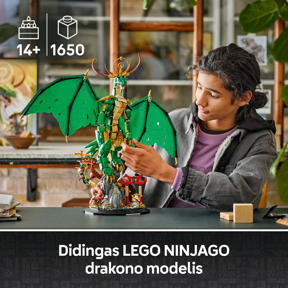 LEGO® Ninjago Drakonas sargas (71847)