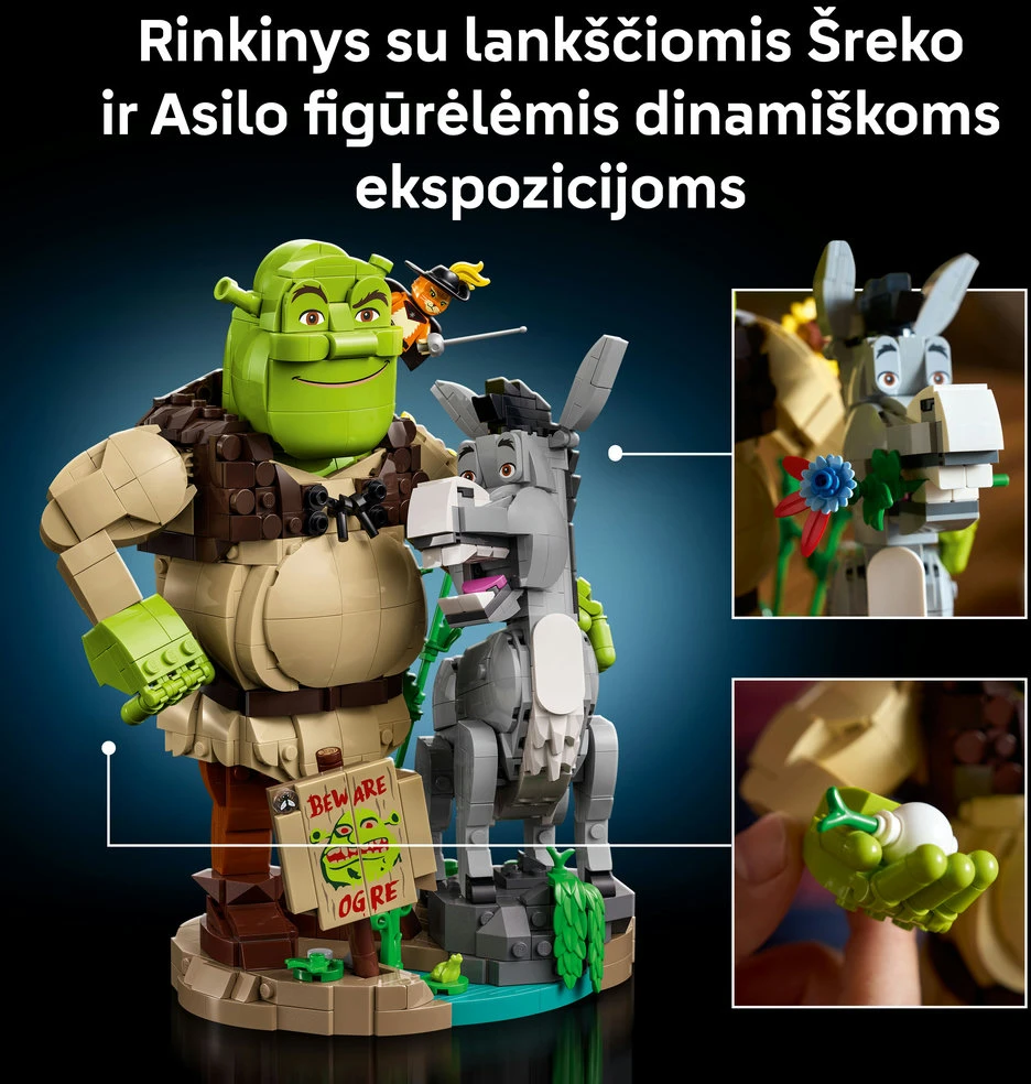 LEGO® Shrek: Šrekas, Asilas ir Batuotas Katinas Pūkis 72423