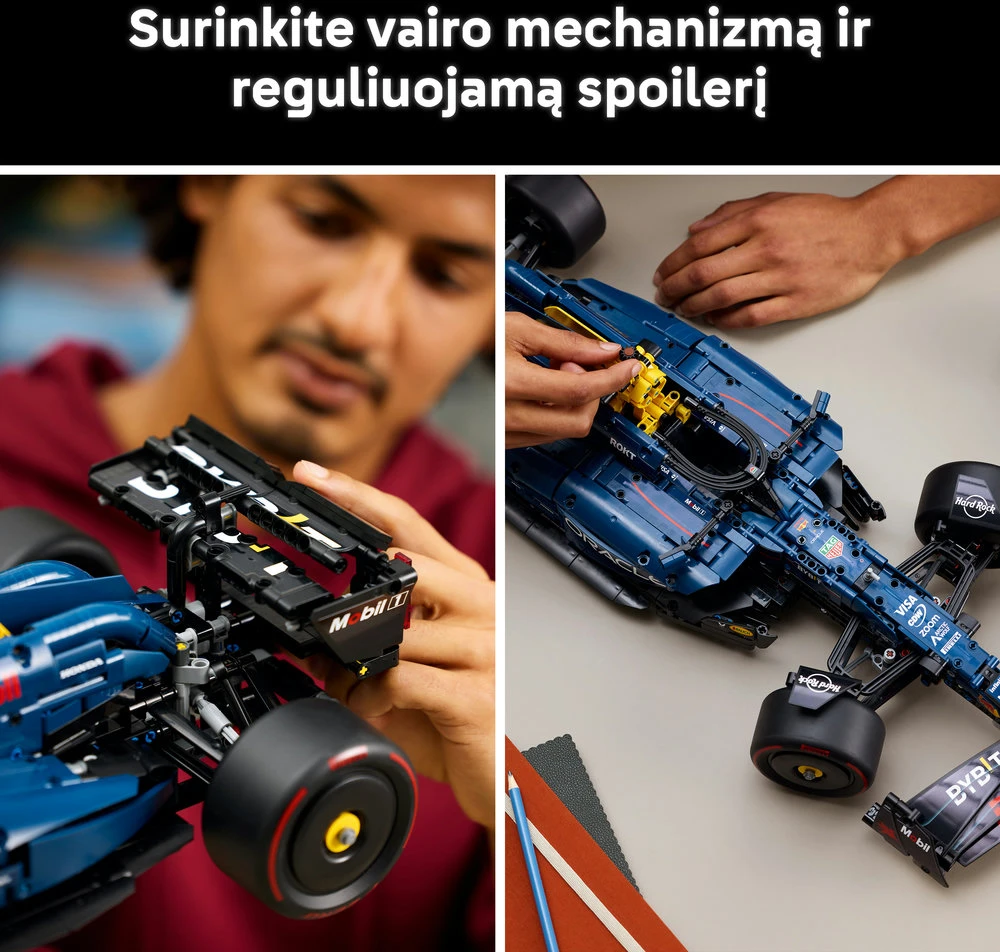 LEGO® Technic F1 automobilis Oracle Red Bull Racing RB20 (42206)