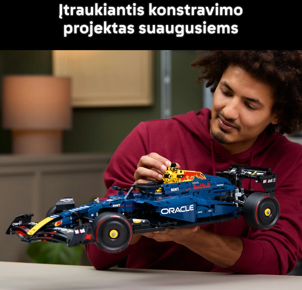 LEGO® Technic F1 automobilis Oracle Red Bull Racing RB20 (42206)