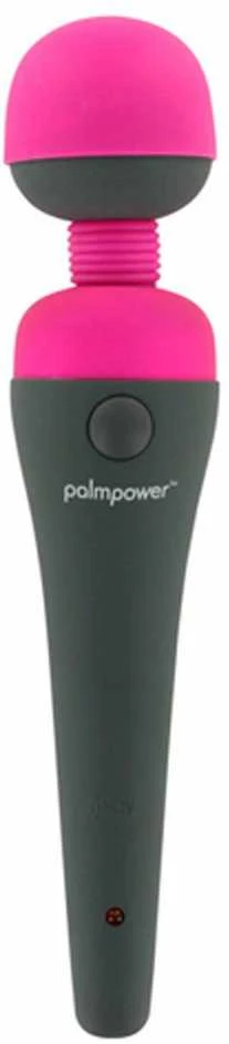 Palm Power PalmPower Massager