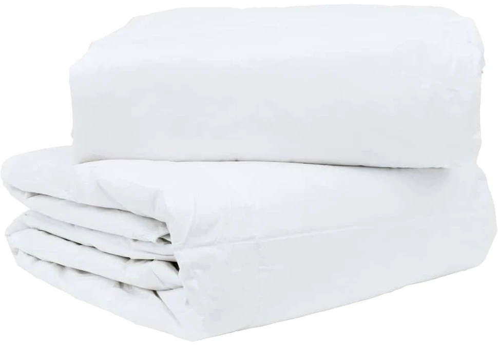 2-in-1 Antklodė Balta 240 x 220 cm Plunksna
