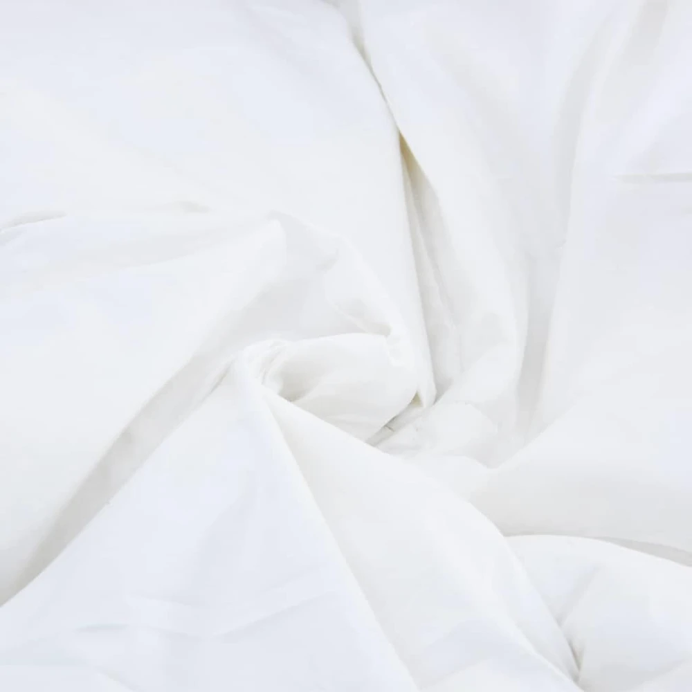 2-in-1 Antklodė Balta 240 x 260 cm Plunksna