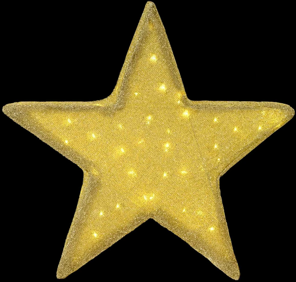 3D Kalėdų žvaigždė 50 LED Šilta balta 55 x 53,5 x 10 cm