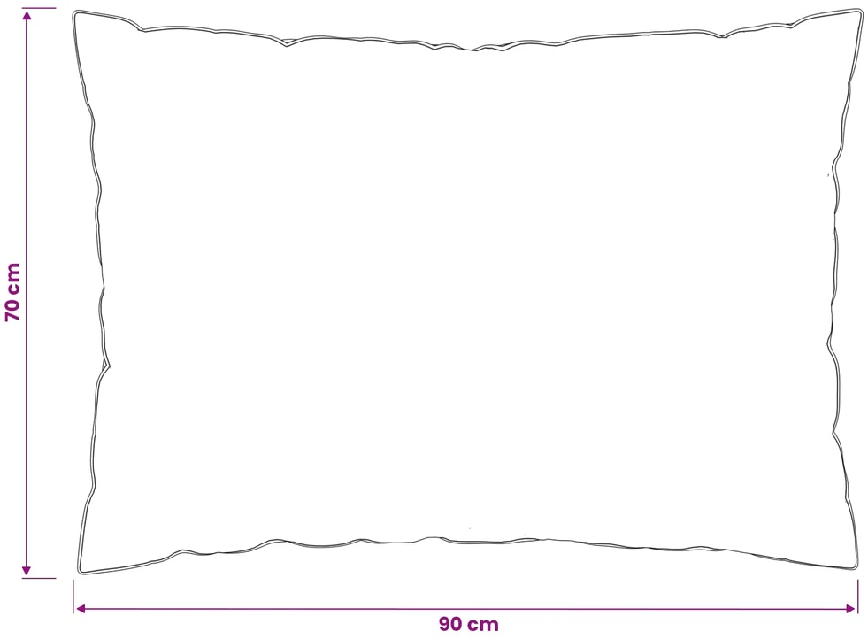 90% žąsies pūkų antklodės komplektas FULDA 3 vnt. 135 x 220 cm