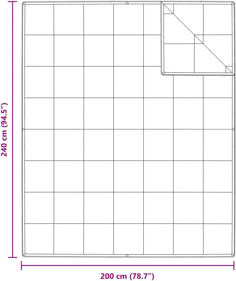 2-in-1 Antklodė Balta 240 x 200 cm Plunksna