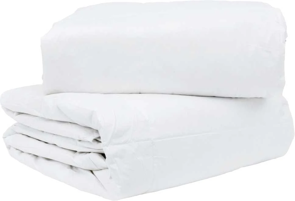 2-in-1 Antklodė Balta 240 x 220 cm Plunksna