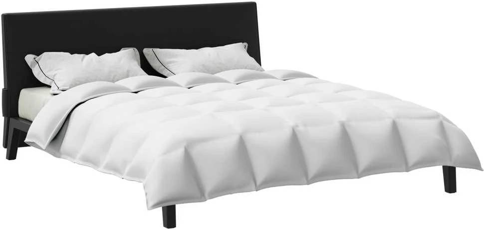 2-in-1 Antklodė Balta 240 x 220 cm Plunksna