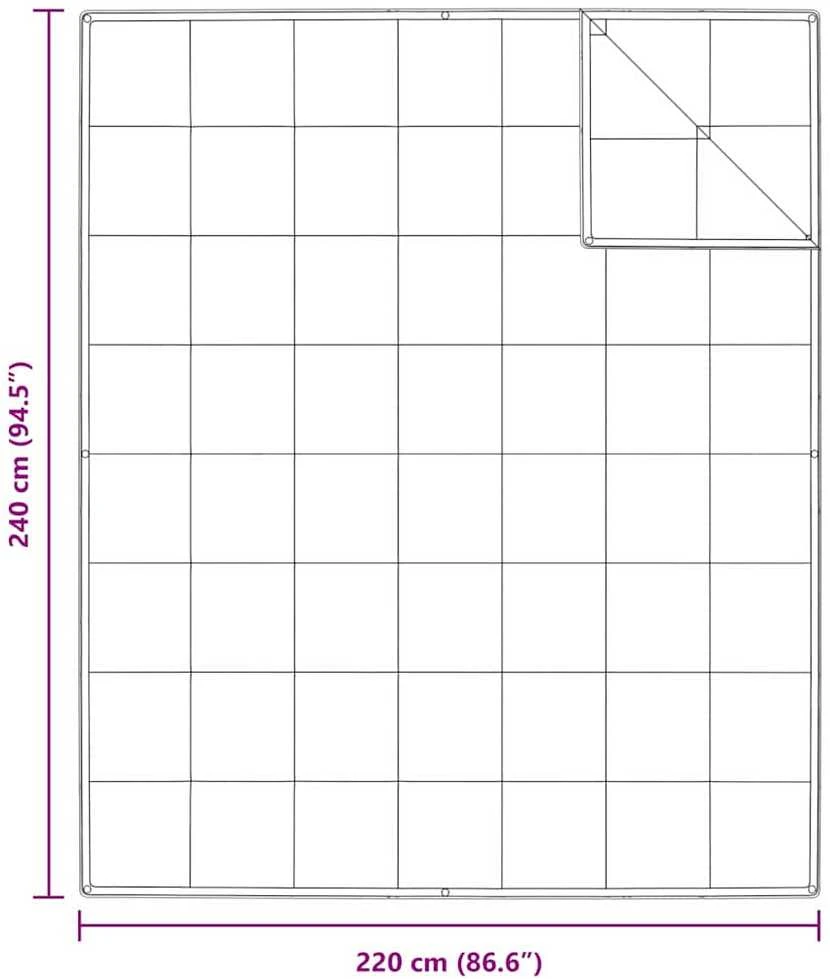 2-in-1 Antklodė Balta 240 x 220 cm Plunksna