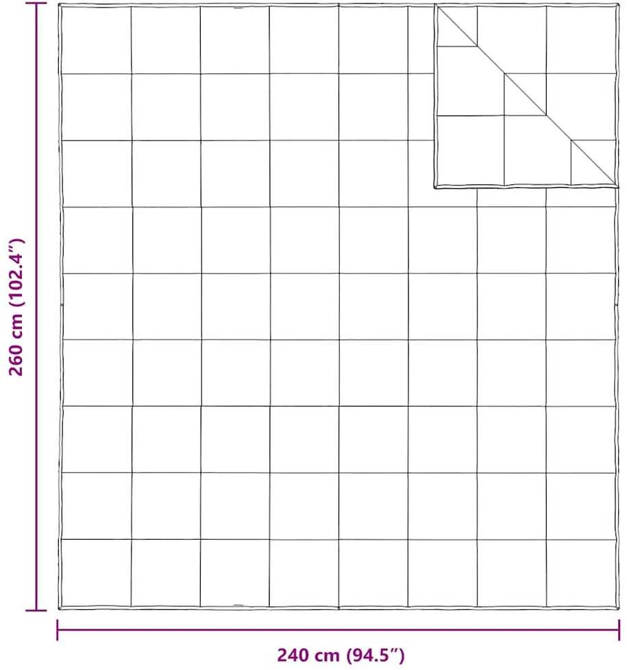 2-in-1 Antklodė Balta 240 x 260 cm Plunksna