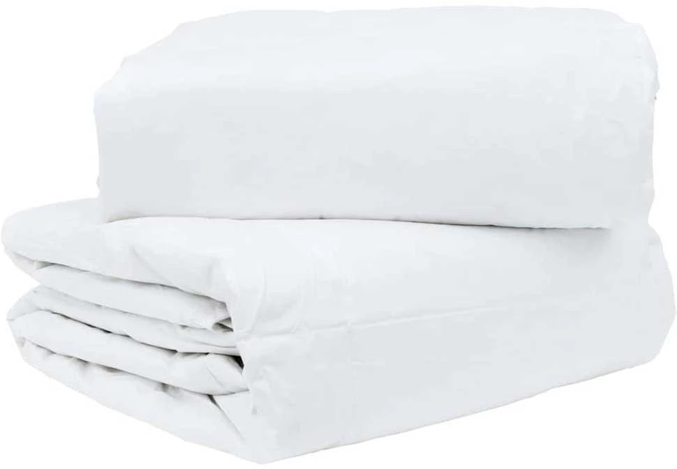 2-in-1 Antklodė Balta 240 x 260 cm Plunksna