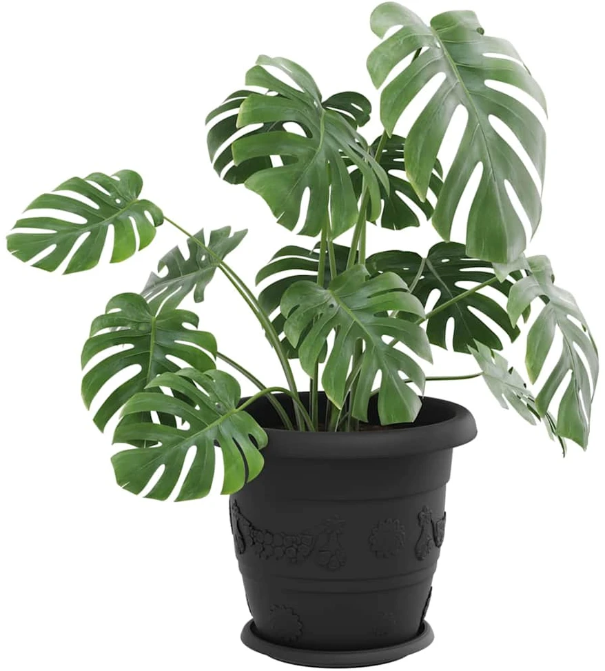 Apvalus gėlių padėklas 24 vnt. Juoda Ø 23,5 x 2,5 cm Plastmasė
