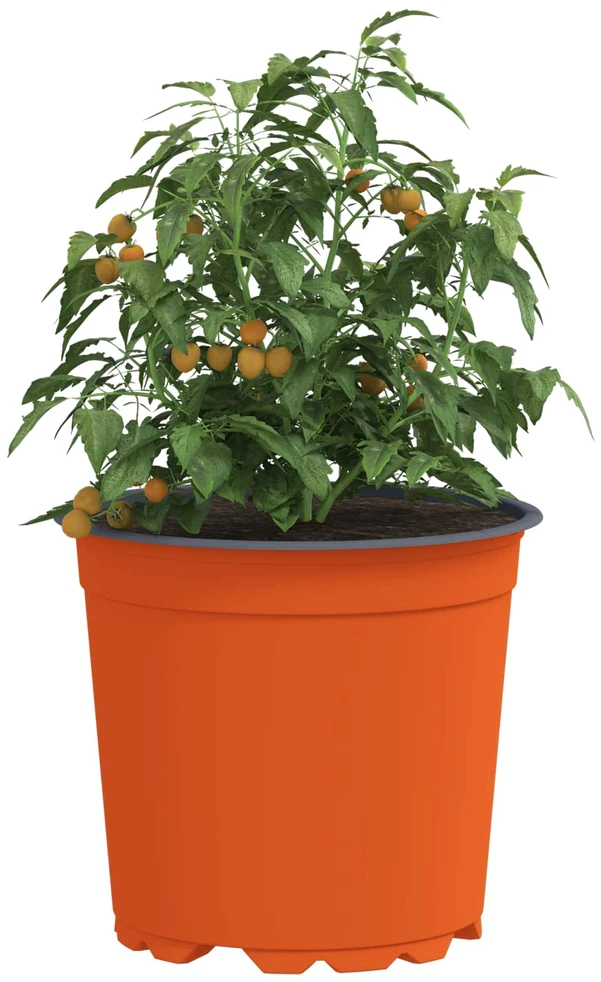 Apvalus gėlių vazonas 50 vnt. Terakotos Ø 15 x 13 cm Plastmasė