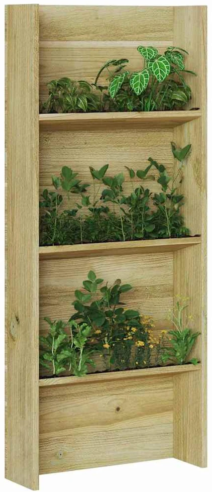 Augalo lentynos Ruda 50 x 15 x 117 cm
