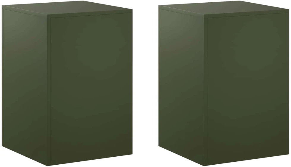 Augalų stovas 2 pcs Alyvuogių žalia 40 x 40 x 60 cm Plienas