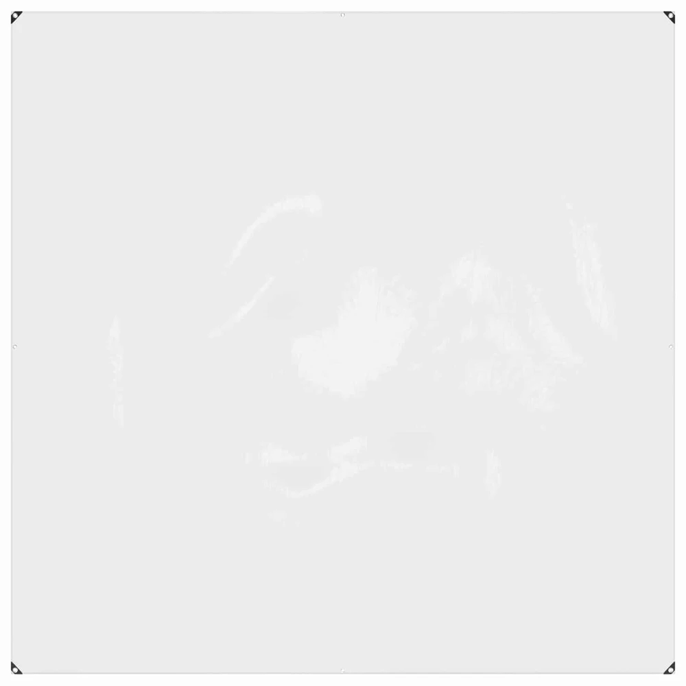 Augalų uždangalas Skaidrus 2 x 2 m PVC