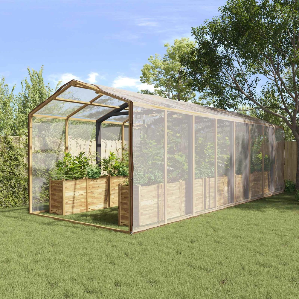 Augalų uždangalas 6 x 12 m PE Pusiau skaidri