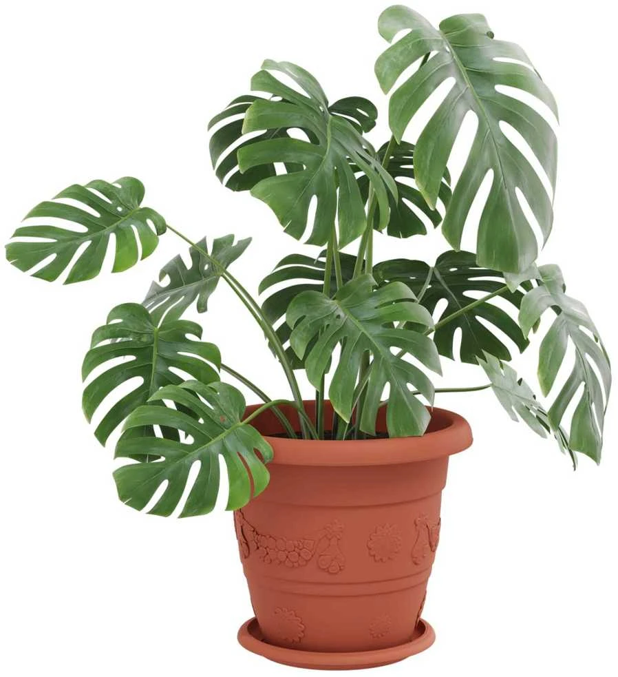 Augalų vazonai 24 vnt. Raudona plyta Ø 26 x 21.5 cm Plastmasė