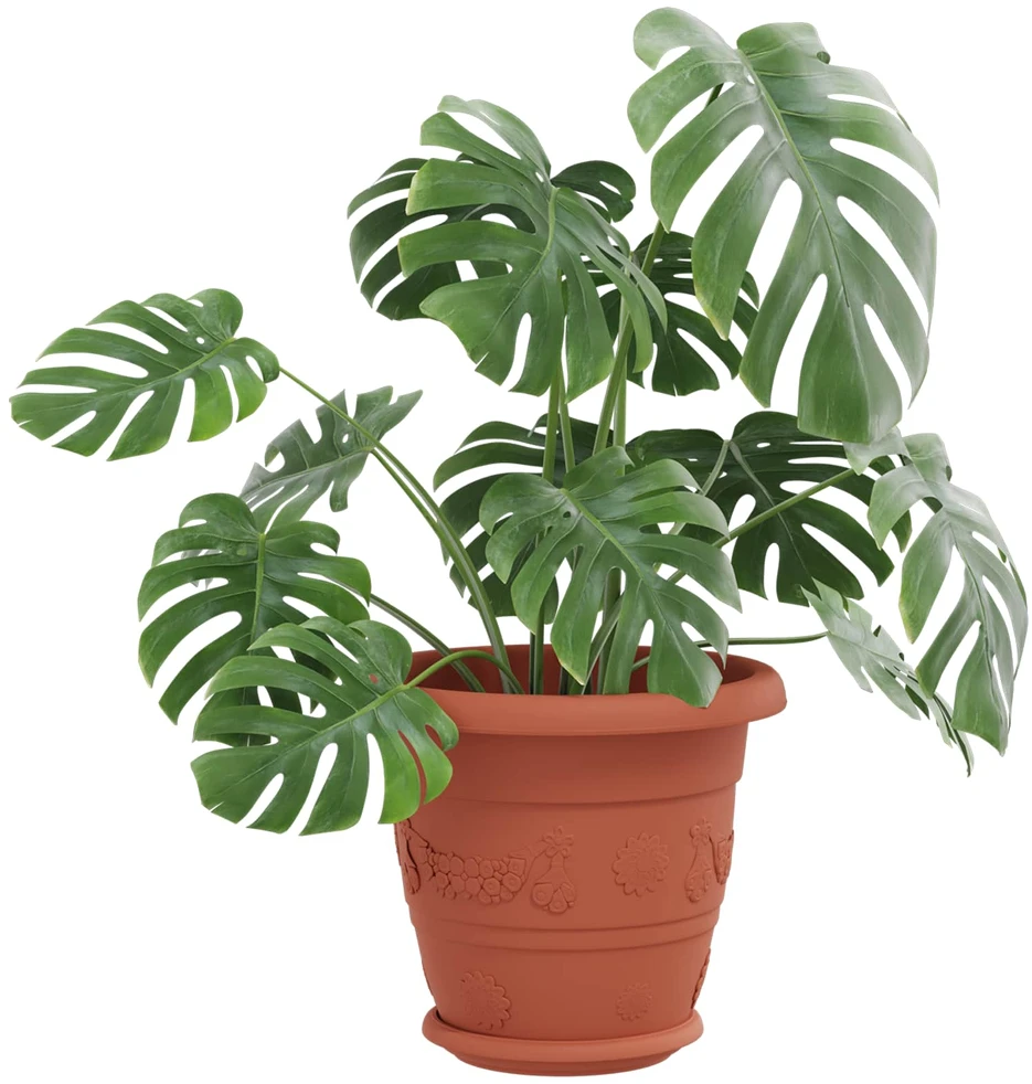 Augalų vazonai 24 vnt. Raudona plyta Ø 22 x 18 cm Plastmasė