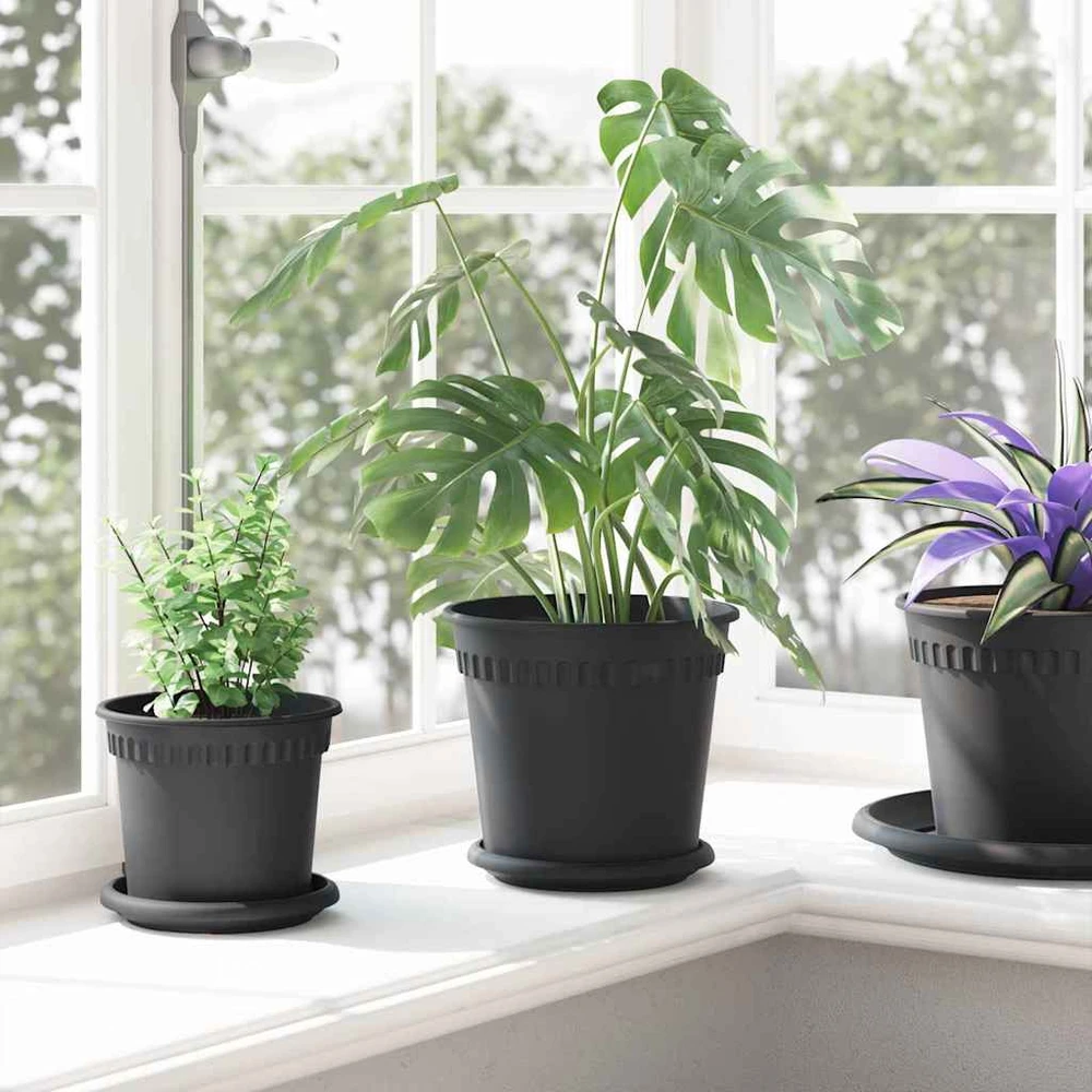 Lova Augalų vazonai 6 vnt. Juoda Plastmasė