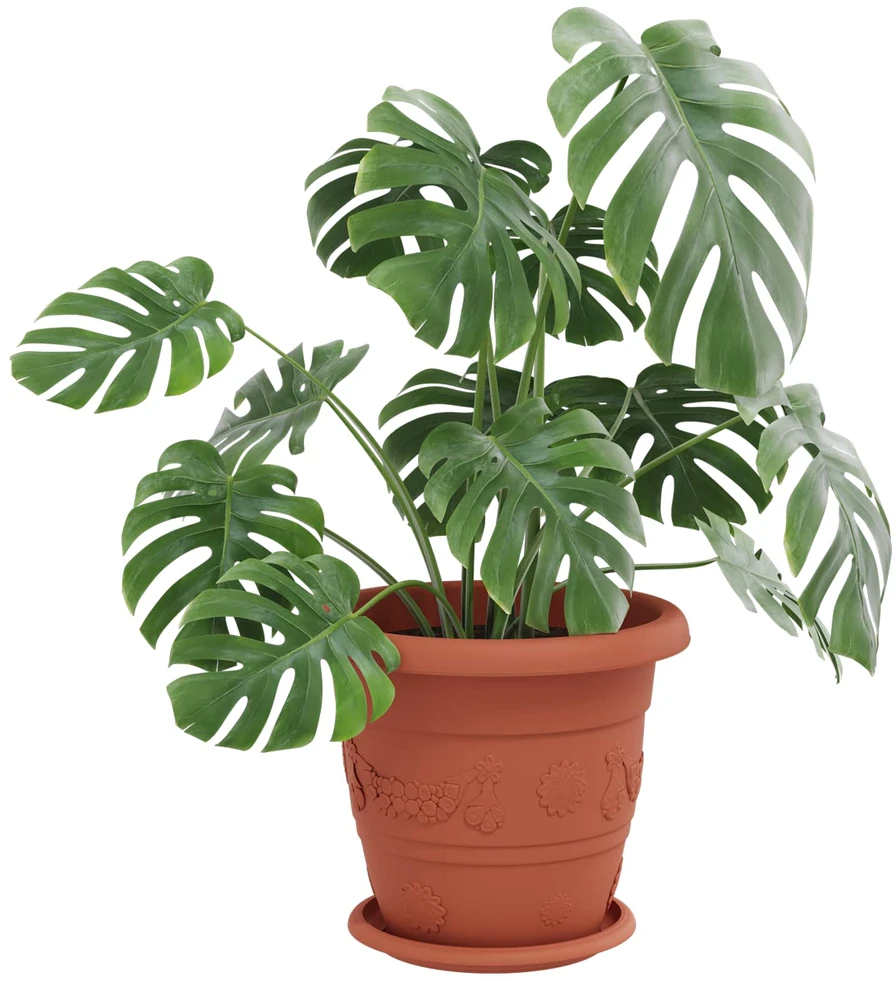 Augalų vazonai 6 vnt. Raudona plyta Ø 26 x 21.5 cm Plastmasė