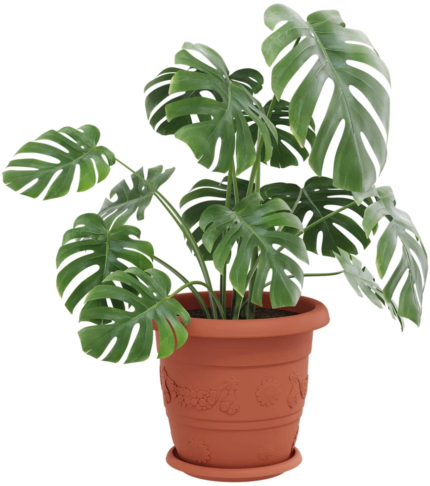 Augalų vazonai 6 vnt. Raudona plyta Ø 30 x 25 cm Plastmasė