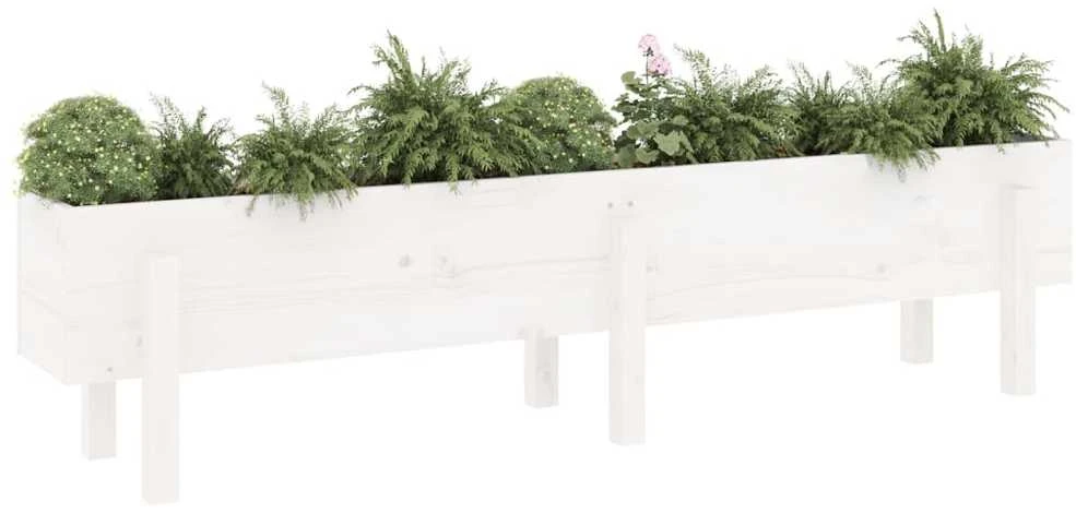 Aukštas sodo lovelis, baltas, 160x30x38cm, pušies masyvas