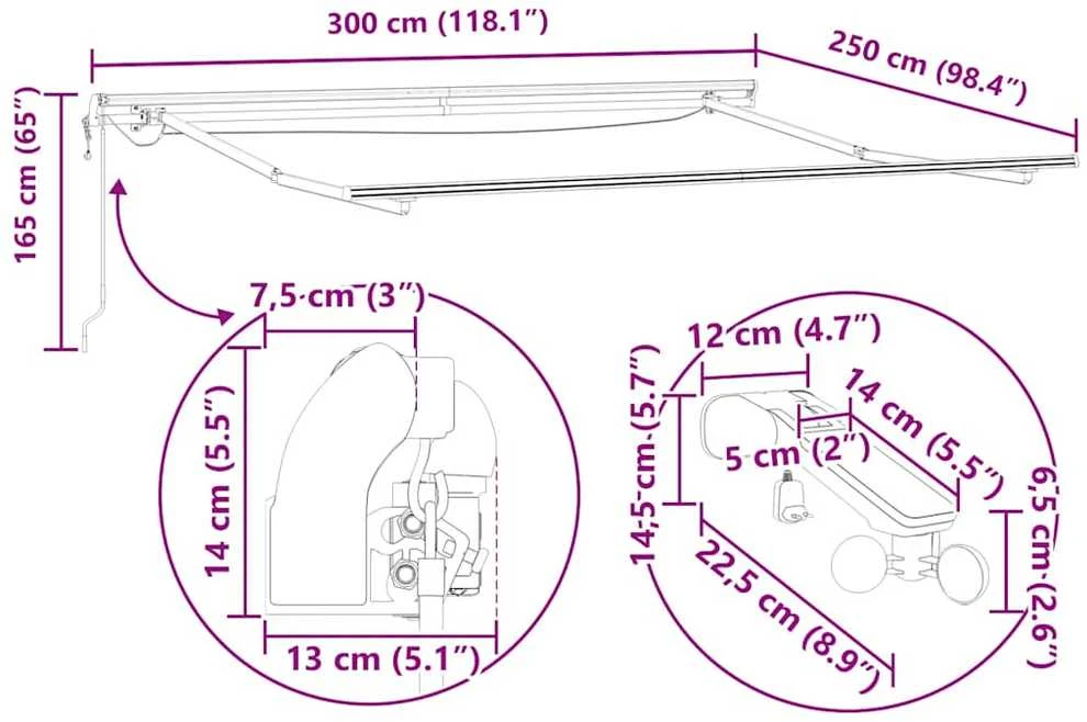 Automatinė ištraukiama markizė su LED, ruda, 300x250cm