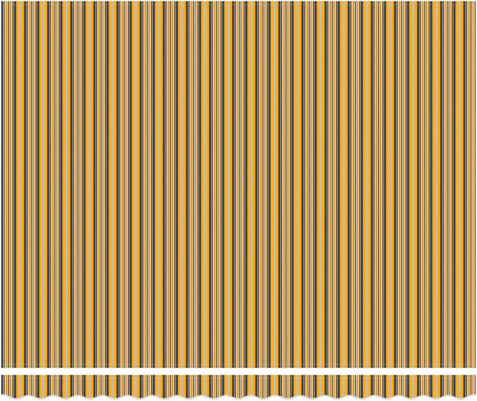 Ištraukiama markizė Įvairiaspalvis 400 × 350 cm Poliesteris
