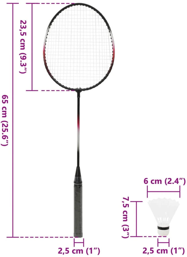 Badmintono rinkinys su 2 raketėmis/tinkleliu, 292x30x152cm
