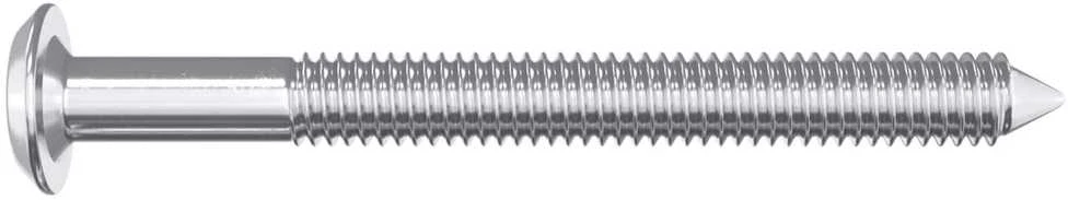 Baldų varžtai 12 vnt. Sidabro M6 x 60 mm Plienas