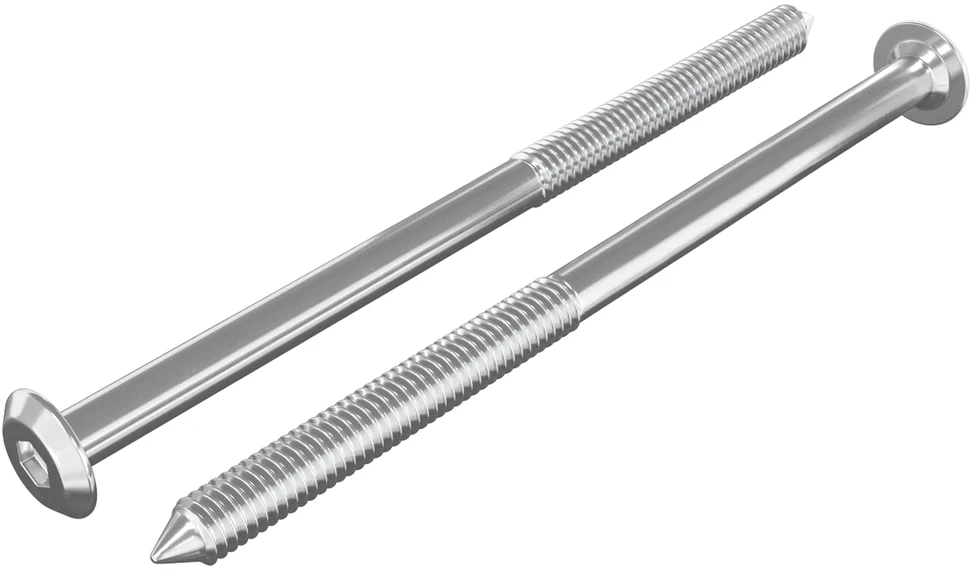 Baldų varžtai 2 vnt. Sidabro M6 x 100 mm Plienas