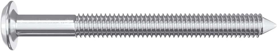 Baldų varžtai 2 vnt. Sidabro M6 x 60 mm Plienas