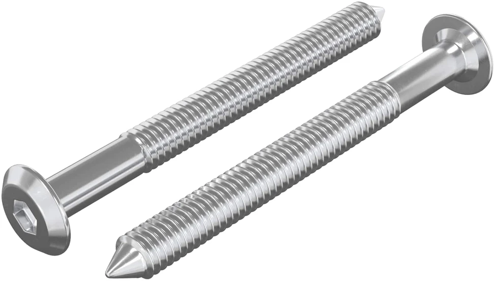 Baldų varžtai 2 vnt. Sidabro M6 x 60 mm Plienas