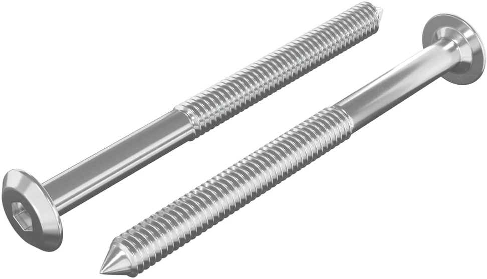 Baldų varžtai 2 vnt. Sidabro M6 x 85 mm Plienas