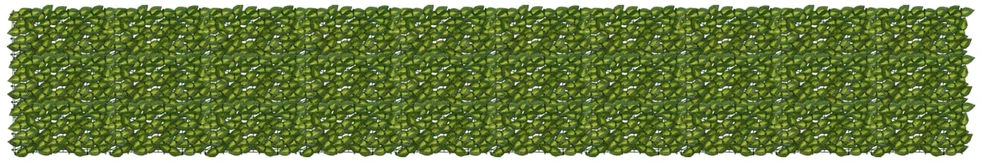 Balkono uždanga su lapais Žalia ir geltona 500 x 75 cm