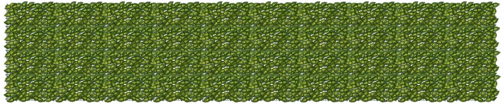 Balkono uždanga su lapais Žalia ir geltona 500 x 100 cm