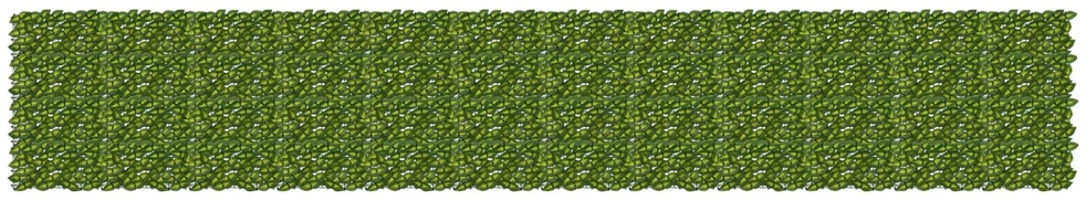 Balkono uždanga su lapais Žalia ir geltona 600 x 100 cm