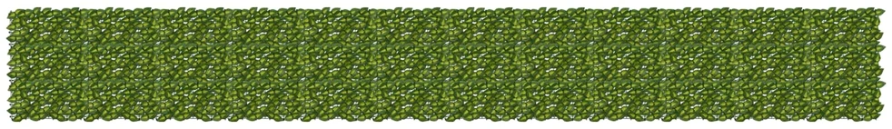 Balkono uždanga su lapais Žalia ir geltona 600 x 75 cm