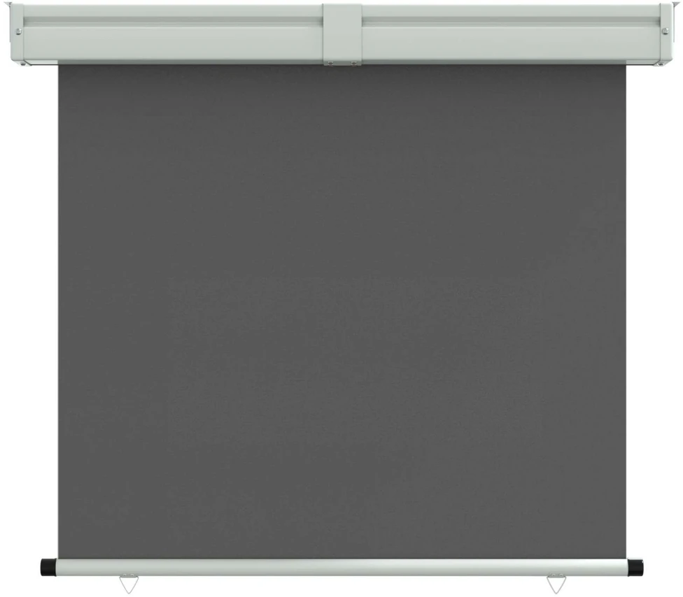 Balkono Šoninė Markizė 80 x 250 cm
