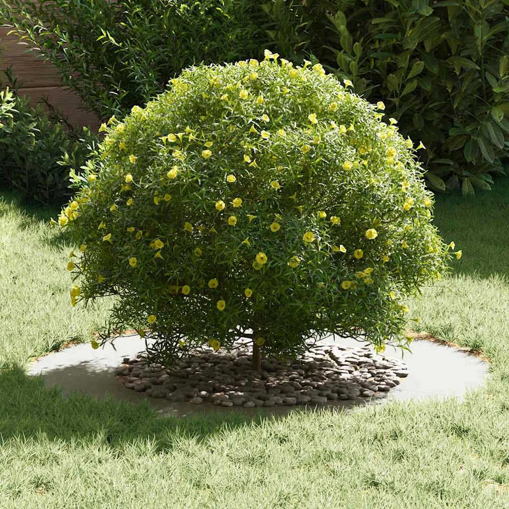 tinkamas plokščiam medžio žiedui Balta Ø50/80 cm Plienas