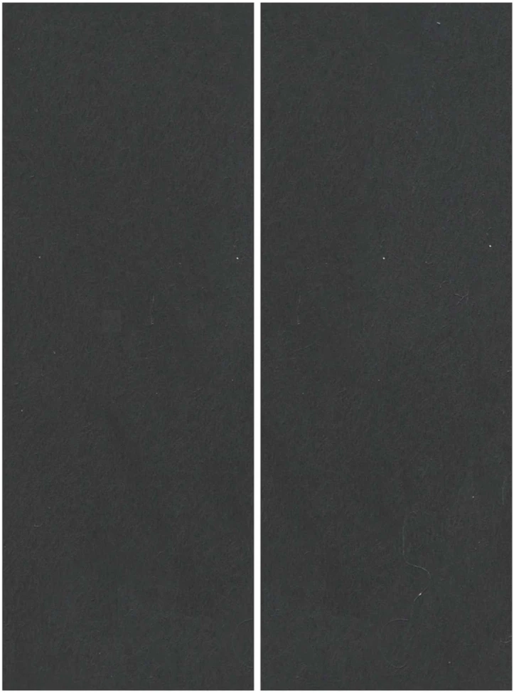 Baseino dugno plėvelė 300 x 220 x 0,1 cm Stačiakampio Juoda
