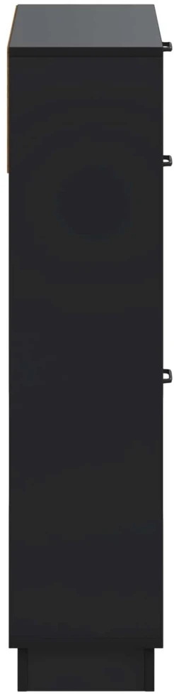 Batu skrynia HOORN 78 x 24 x 100 cm Apdirbta mediena Juoda