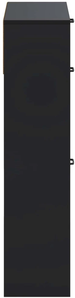 Batu skrynia UTRECHT 78 x 24 x 100 cm Apdirbta mediena Juoda