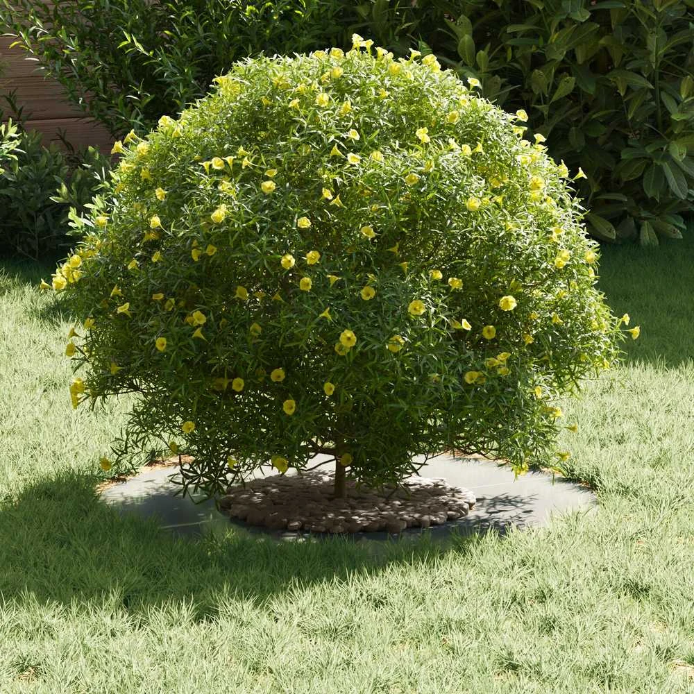 tinkamas plokštiems medžio žiedams 5 vnt. Sidabro Ø30/60 cm